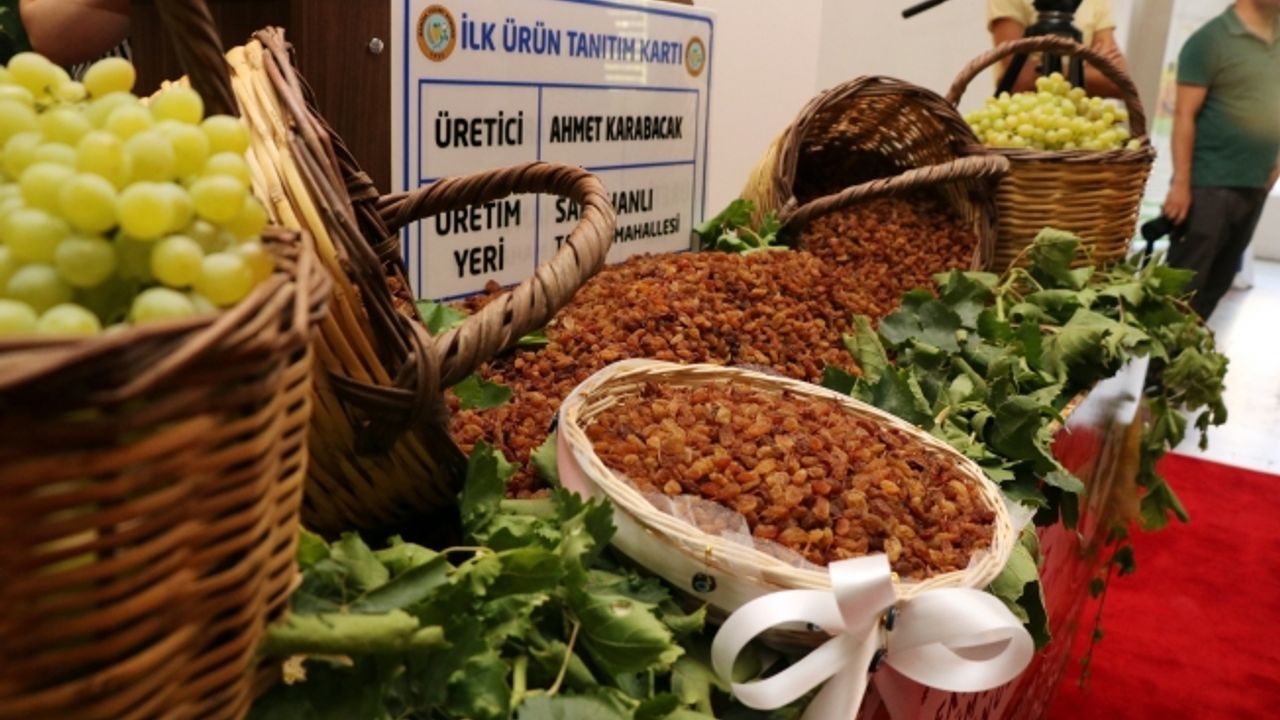 Manisa’nın Çekirdeksiz Sultani Üzümü tescilleniyor