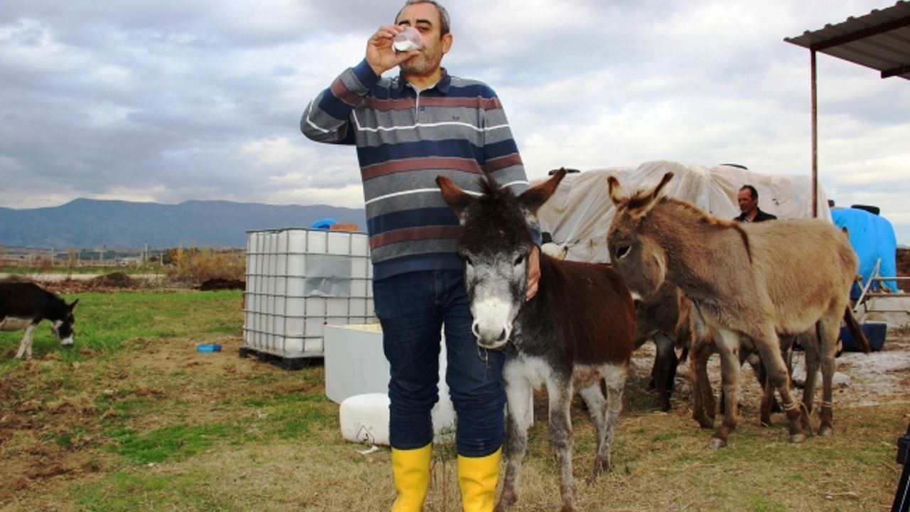 Eşek sütüyle şifa buldu, çiftliğini kurdu