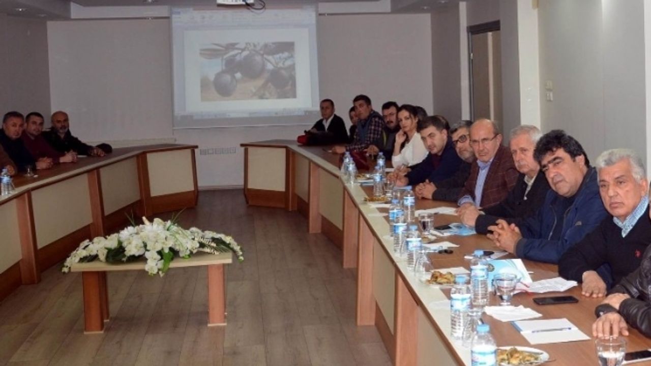 Salihlili zeytinciler markalaşma arayışında