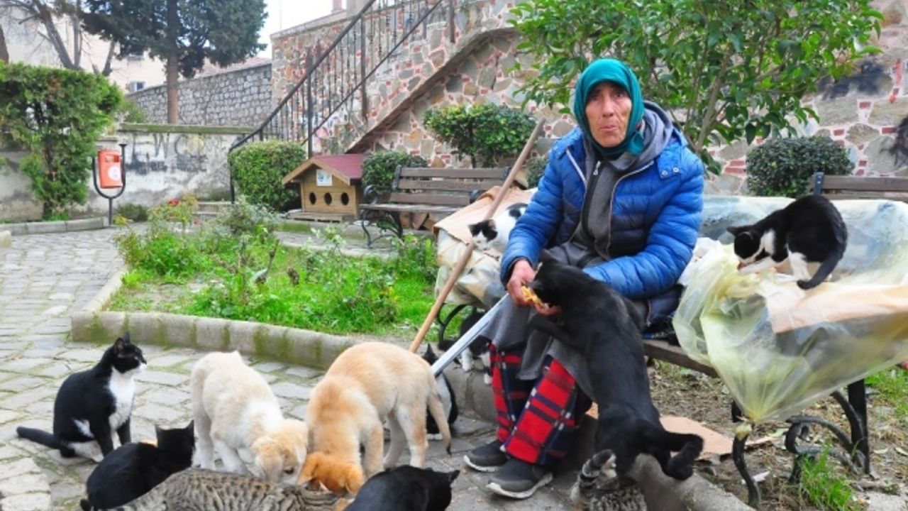 (Özel) Hayatını hiçe saydı, tek derdi kendini adadığı sokak hayvanları