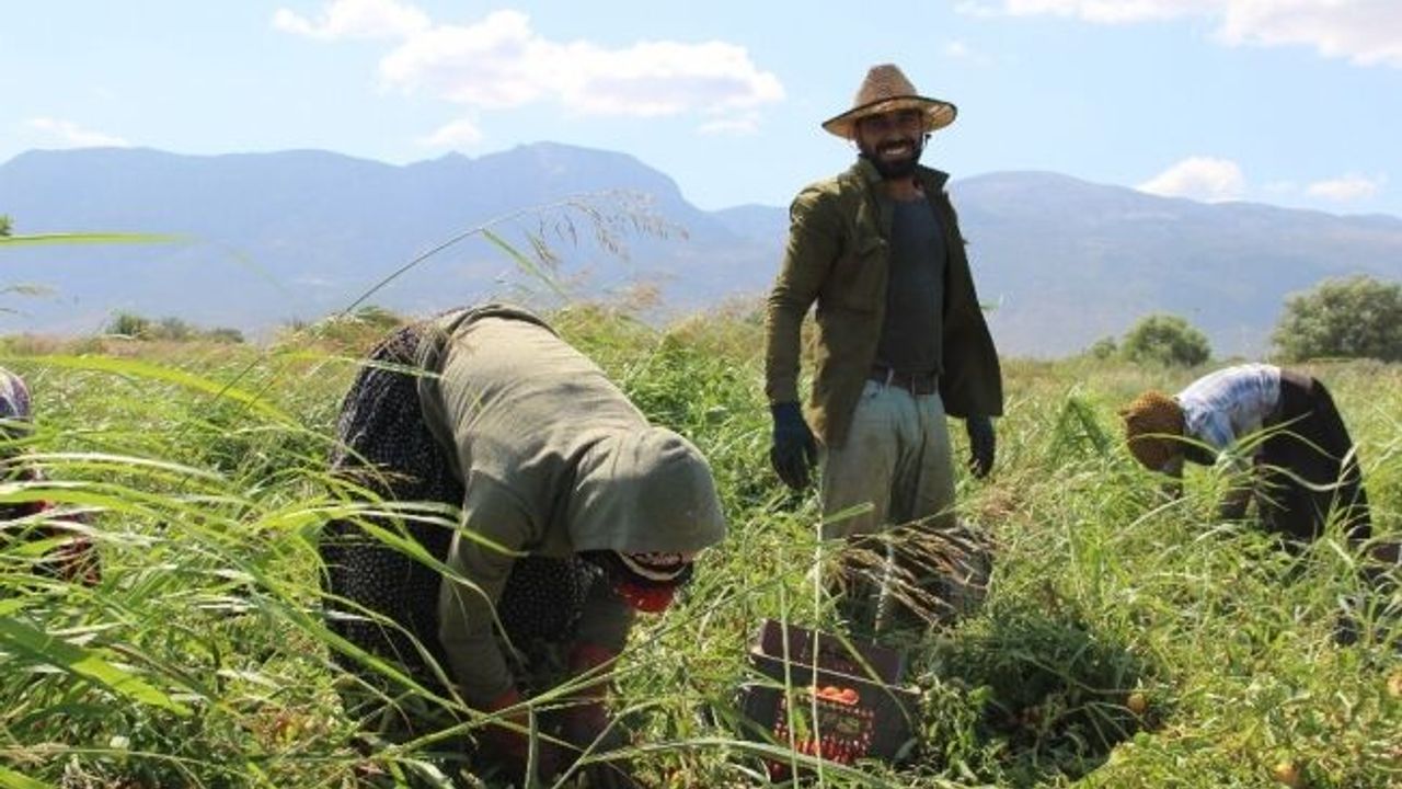 Manisa en fazla tarım alanına sahip 10. il