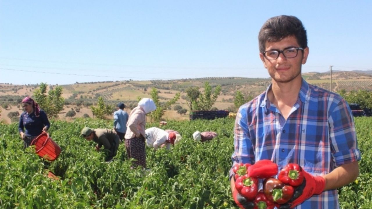Alternatif olarak ekildi, yurdun dört bir yanına gönderiliyor