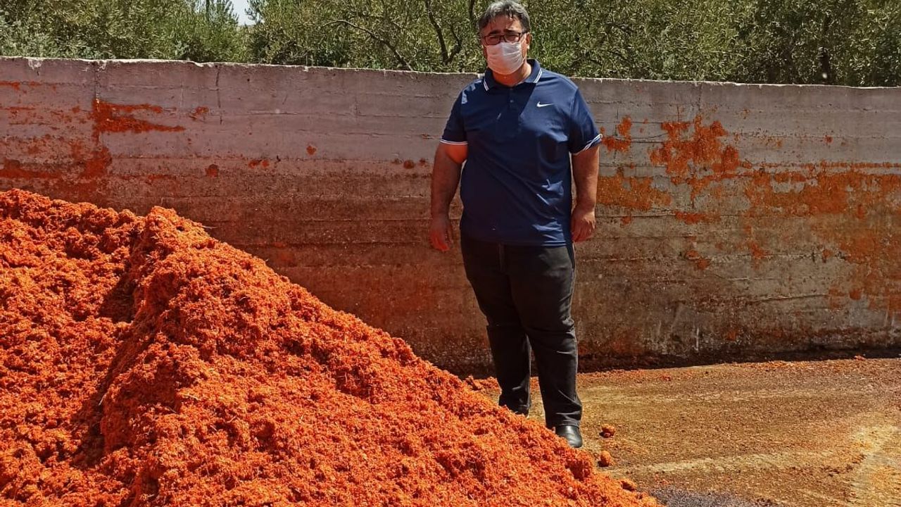 Domates para etmedi, posası para etti