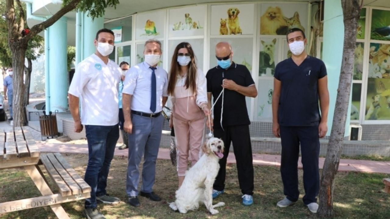 Hayvan Bakım ve Tedavi Merkezi bir kez daha tam not aldı