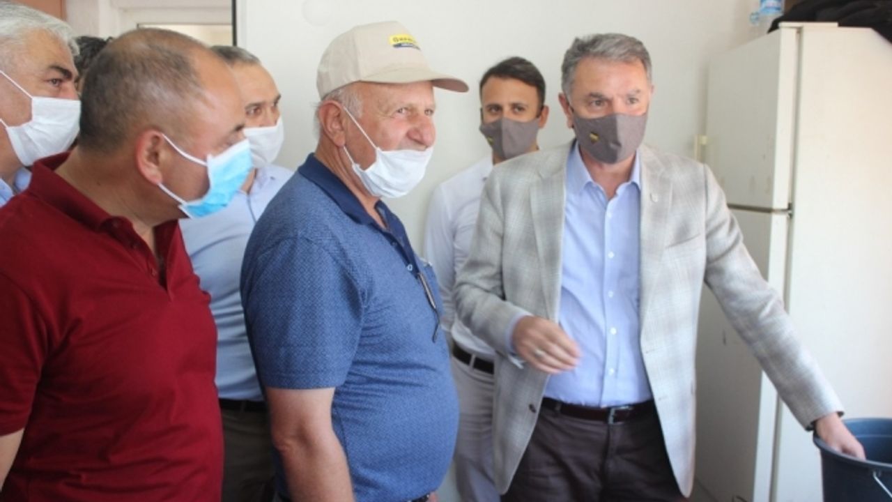 TMO 10 günde 10 bin ton üzüm alımı gerçekleştirdi