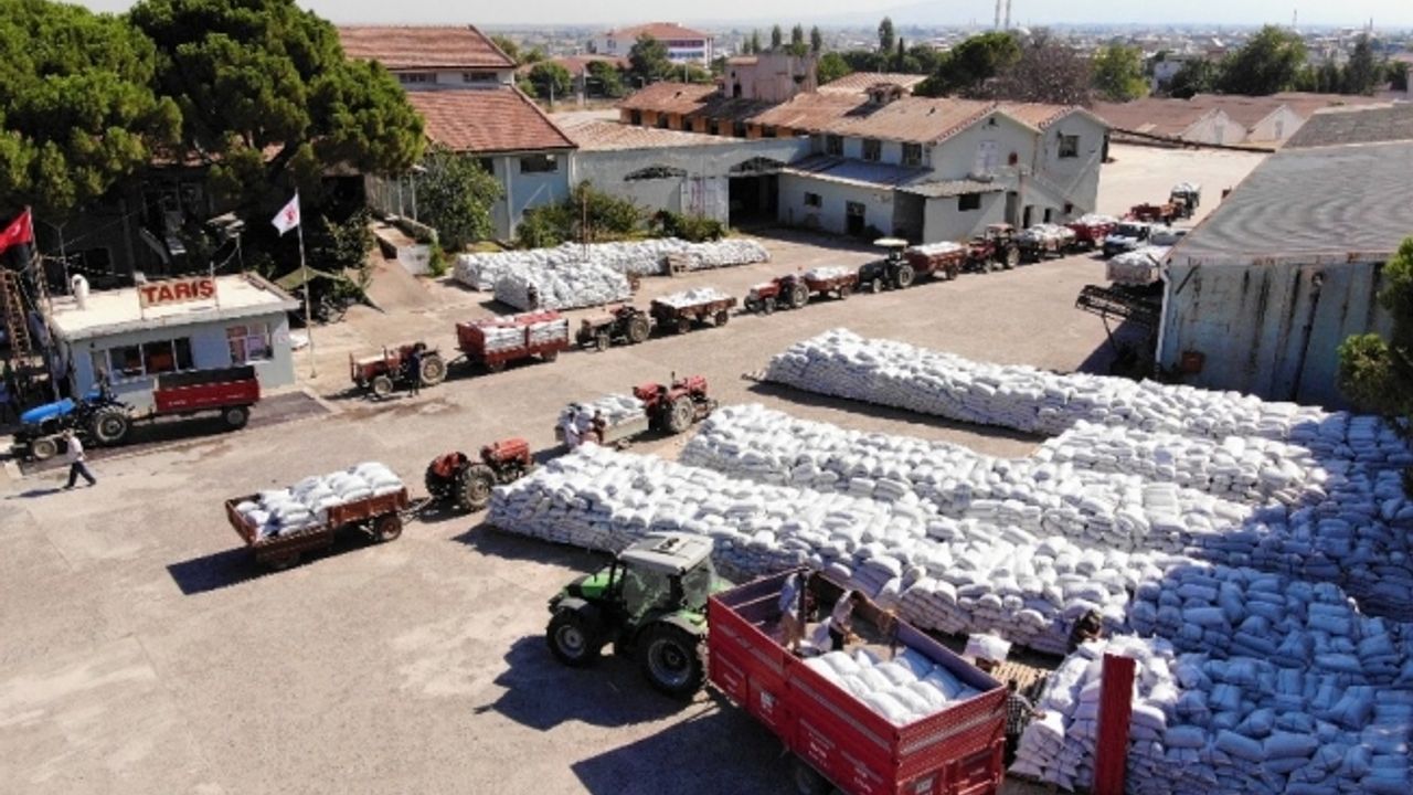 Üzüm alımları başladı, çiftçiler depoların önünde kuyruk oluşturdu