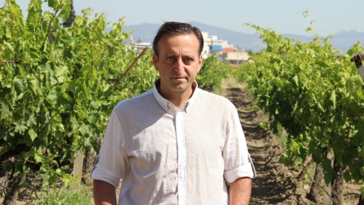 (Özel) Manisa’da üzüm için heyecanlandıran çalışma: 4 bin 500 yıl öncesine dayanıyor