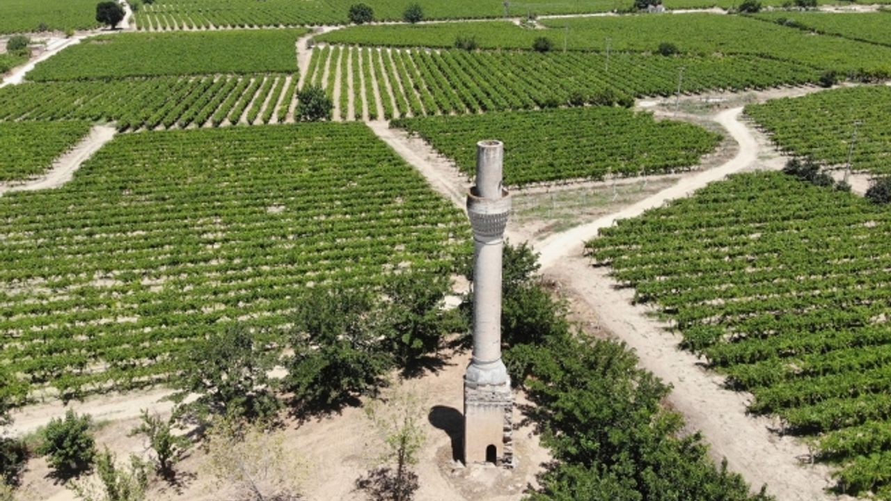 (Özel) Üzüm bağlarının içindeki kırık minare zamana direniyor