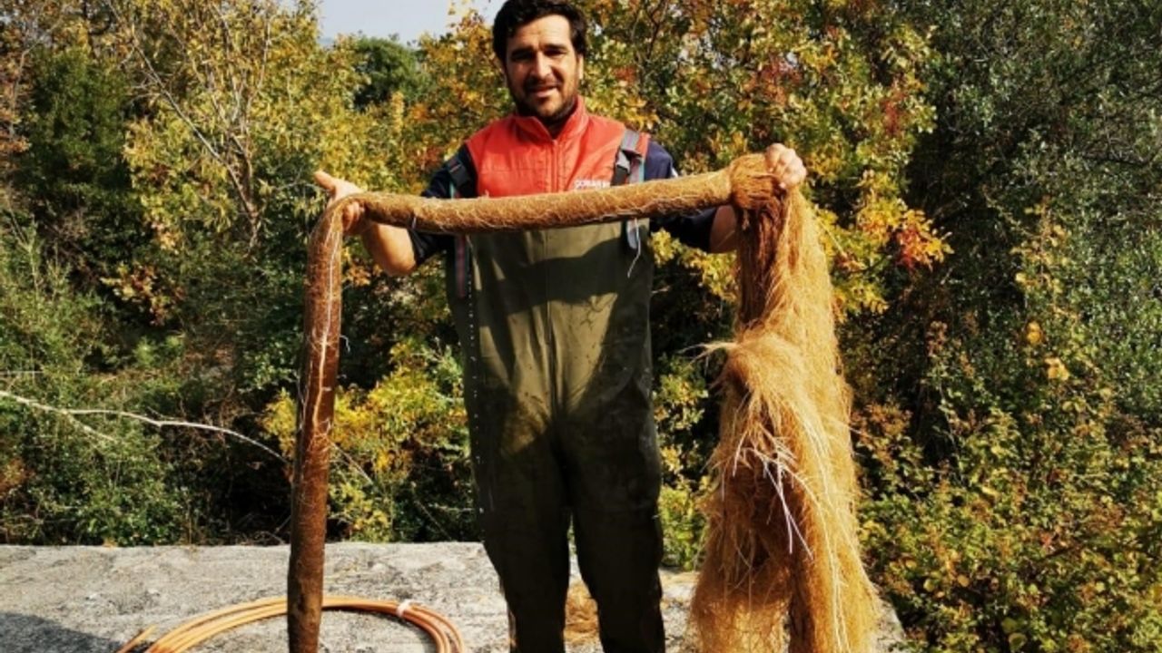 İçme suyu hattından 5 metrelik ağaç kökü çıktı