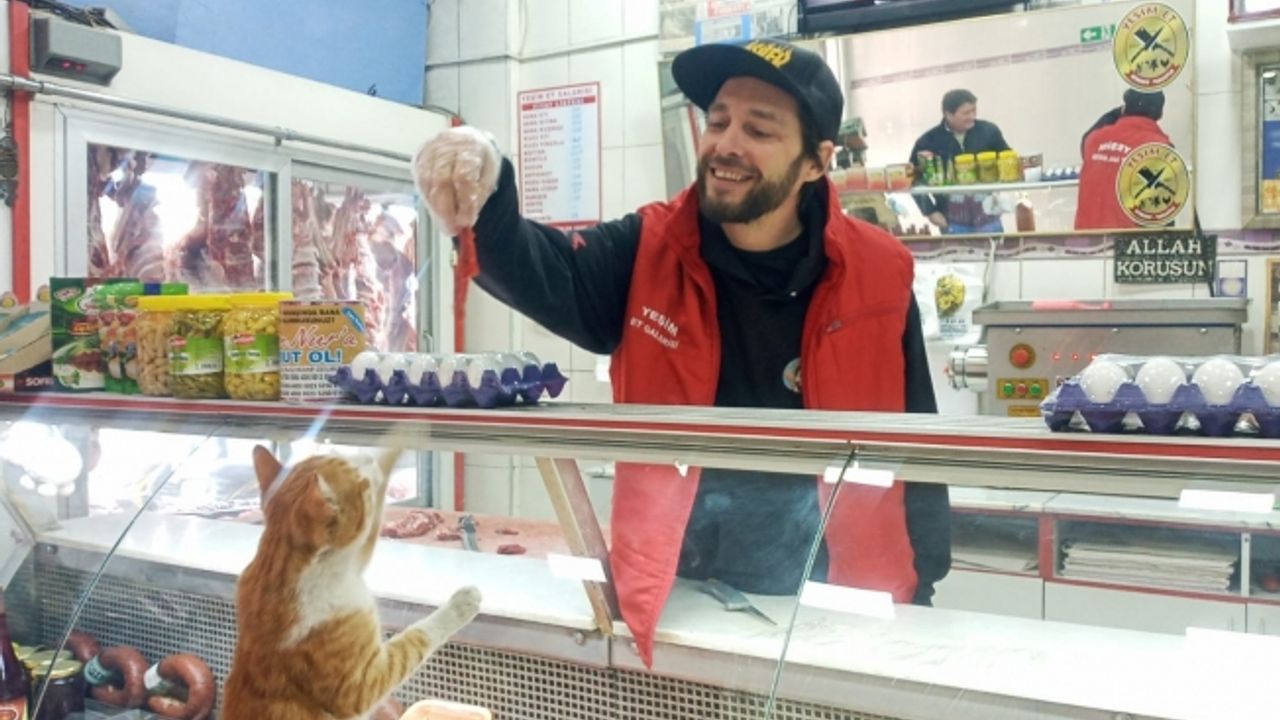 Kanadalı sosyal medya fenomeni ’Yeşim Kedi’ için Türkiye’ye geldi