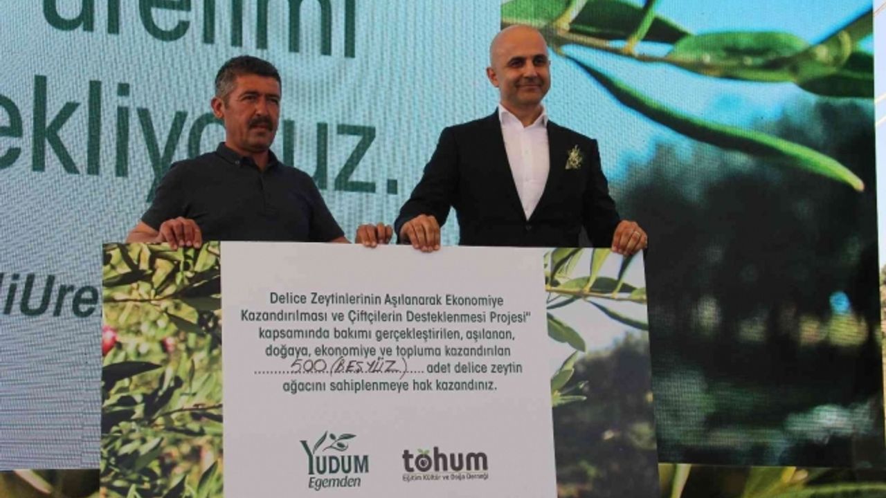 Yudum Egemden ve Tohum Derneği, yabani zeytin ağaçlarını ekonomiye kazandırıyor