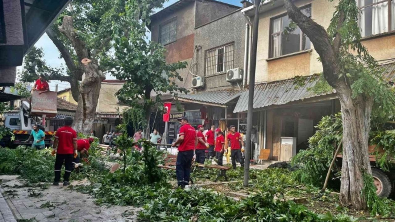 Akhisar’da fırtına etkili oldu, ağaç devrildi, çatılar uçtu