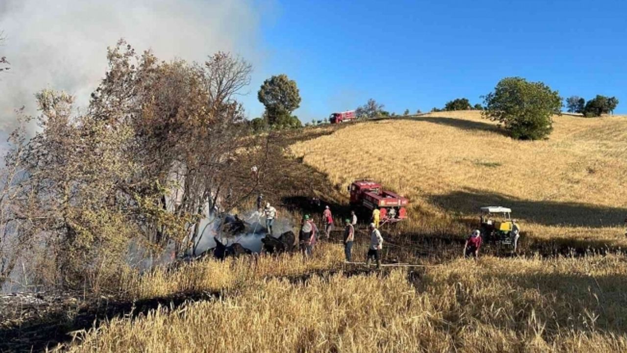 Manisa’da bir haftada 1912 dönüm buğday tarlası yandı