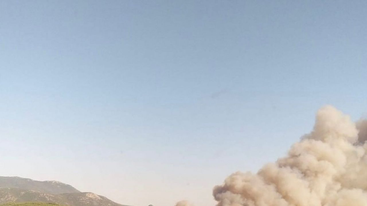 Manisa’da otluk alanda çıkan yangın ormana sıçradı