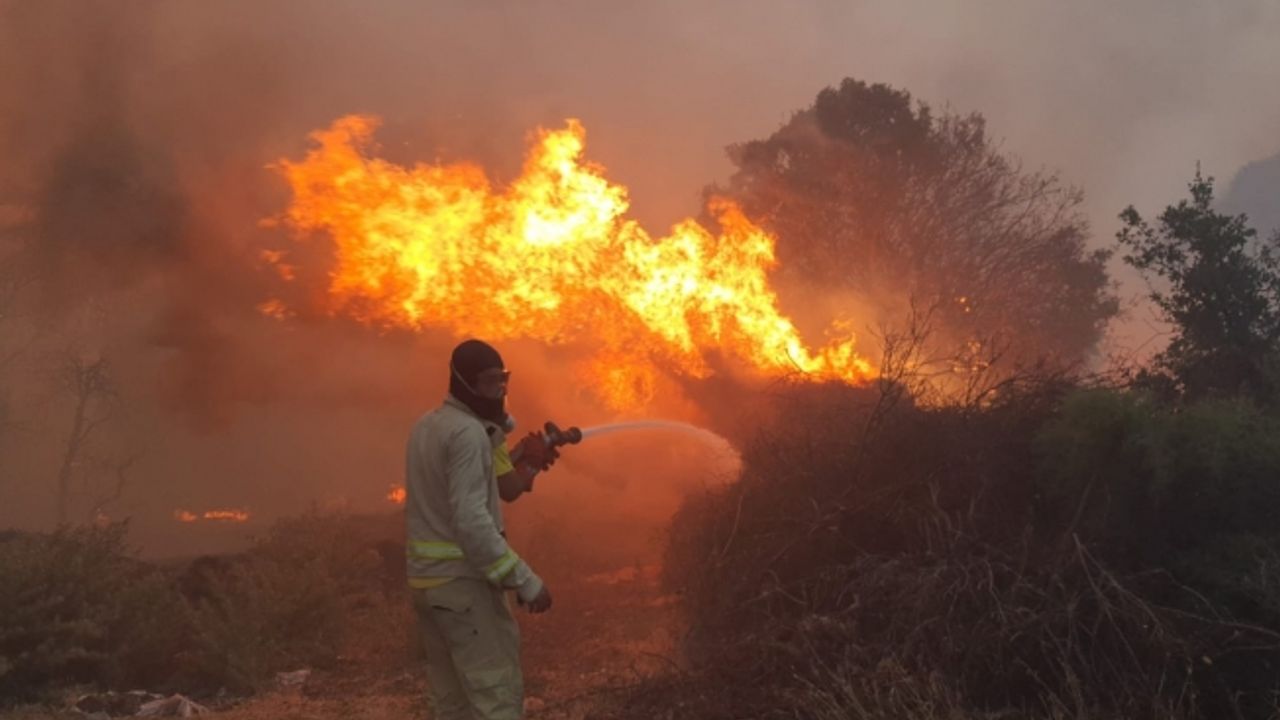 Manisa’daki orman yangını büyüdü, 20 ev boşaltıldı, 40 kişi tahliye edildi