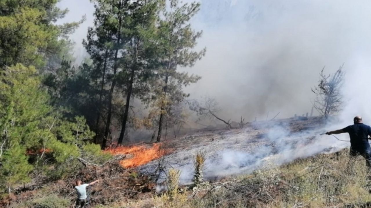 Manisa’daki orman yangınında ekip sayısı artırılıyor