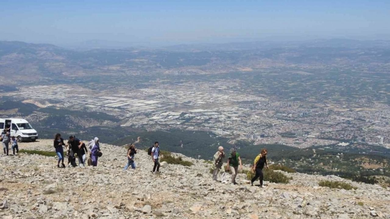 Spil Dağı Milli Parkı’nın endemik tür bitki ve çiçekleri fotoğraflandı