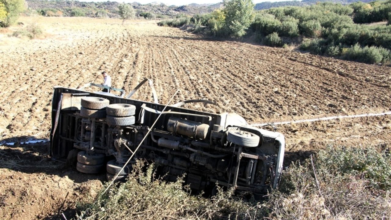 Kontrolden çıkan süt kamyoneti tarlaya uçtu: 1 yaralı