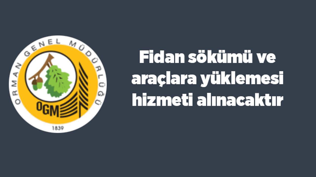 Fidan sökümü ve araçlara yüklemesi hizmeti alınacaktır