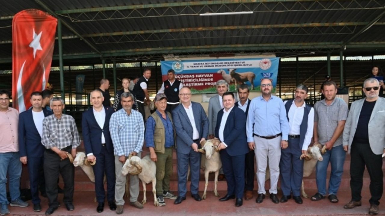 Başkan Ergün damızlık koçları hayvan yetiştiricilerine teslim etti