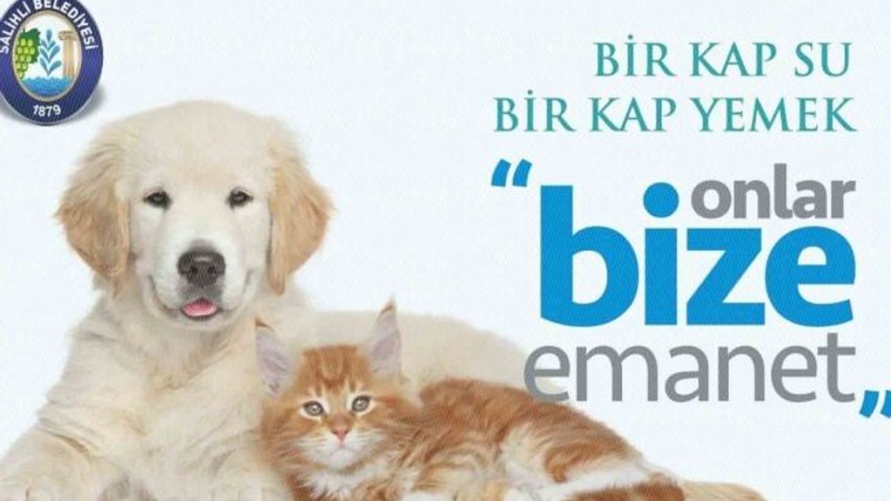 Salihli’de sokak hayvanları için çağrı: ’Bir kap su, bir kap yemek’