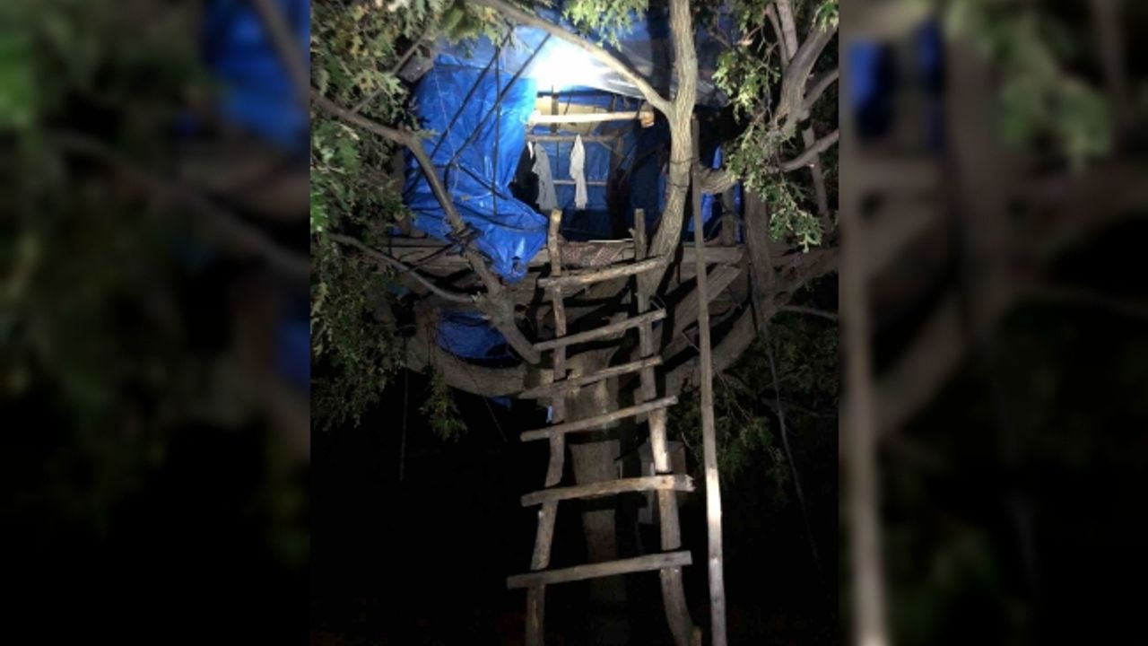 5 yıl hapis cezasıyla aranıyordu, ağacın tepesine kurduğu çadırda uyurken yakalandı