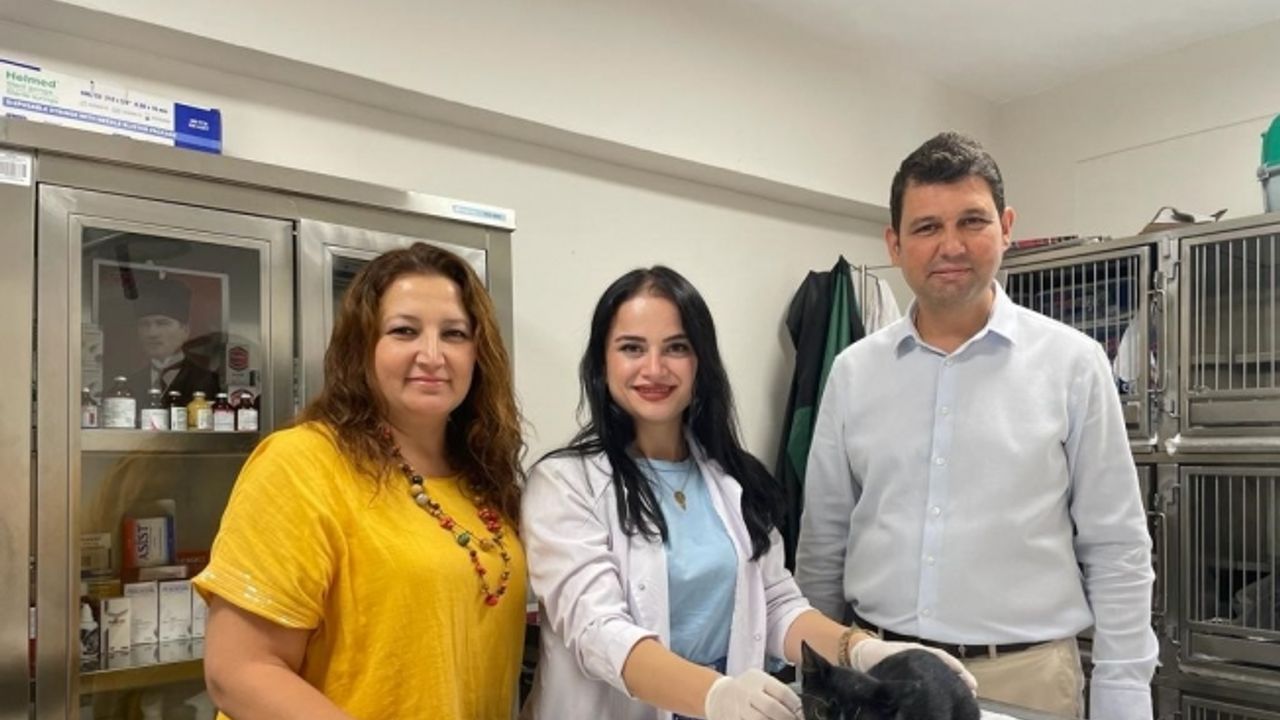 Minik Patiler Kliniği’nde bugüne kadar bin kedi kısırlaştırıldı