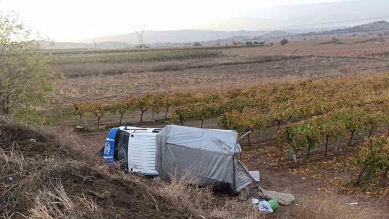 Kontrolden çıkan kamyonet üzüm bağına devrildi: 5 yaralı