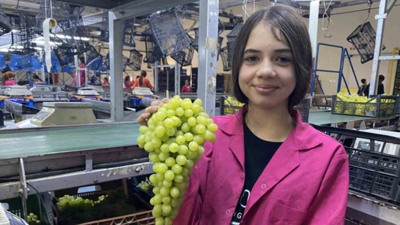 Alaşehir Gümrüğünden 230 bin ton tarımsal gıda ihraç edildi