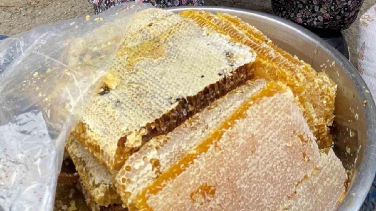 Manisa’da bal rekoltesi geçen yıla göre düşük kaldı