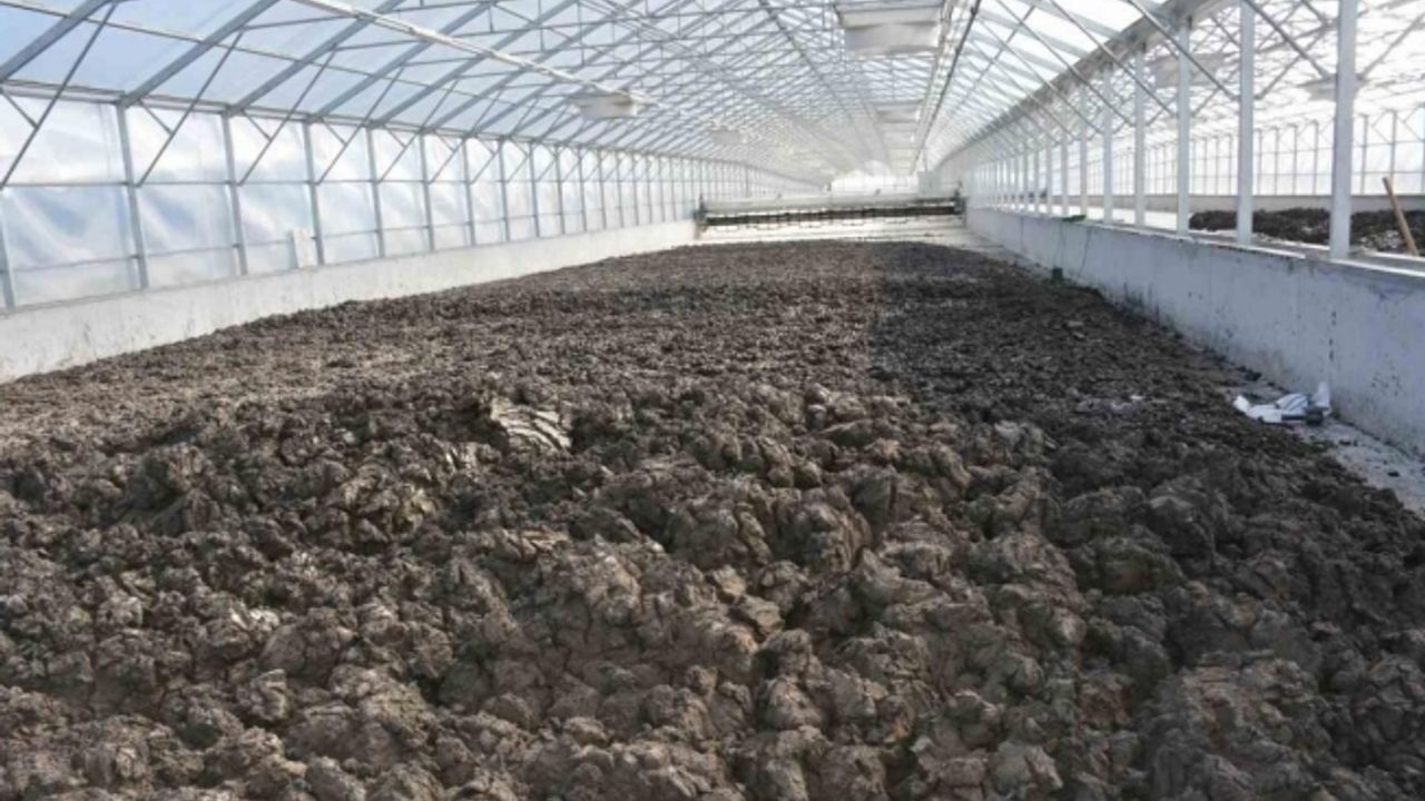 Manisa’da 35 bin ton arıtma çamuru bertaraf edildi