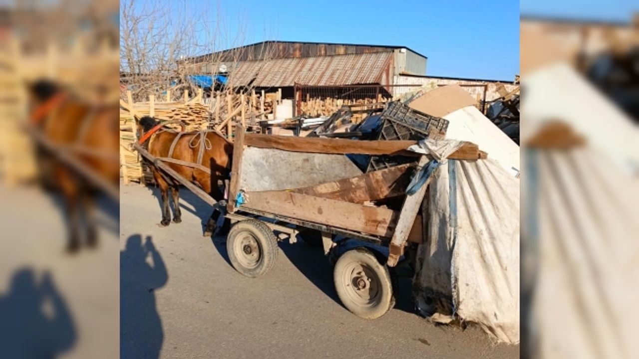 Manisa’da at arabası operasyonu: Üç at arabasına el konuldu