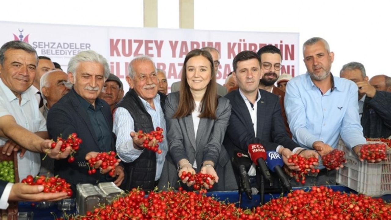 Kuzey yarımkürenin ilk kirazının hasat edildiği Manisa’da üretici umutlu