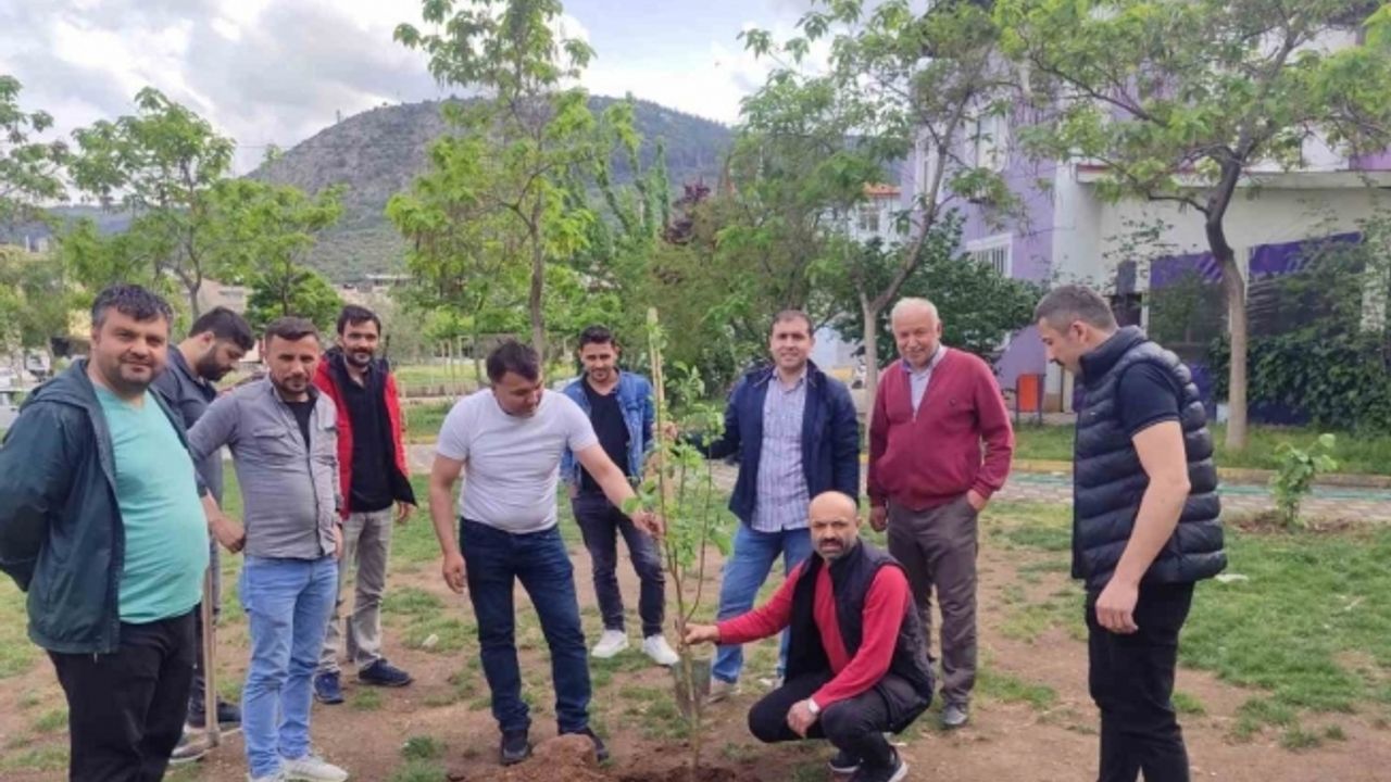 Soma’da yaşayan Ordulular hayatını kaybeden madenciler anısına fidan dikti