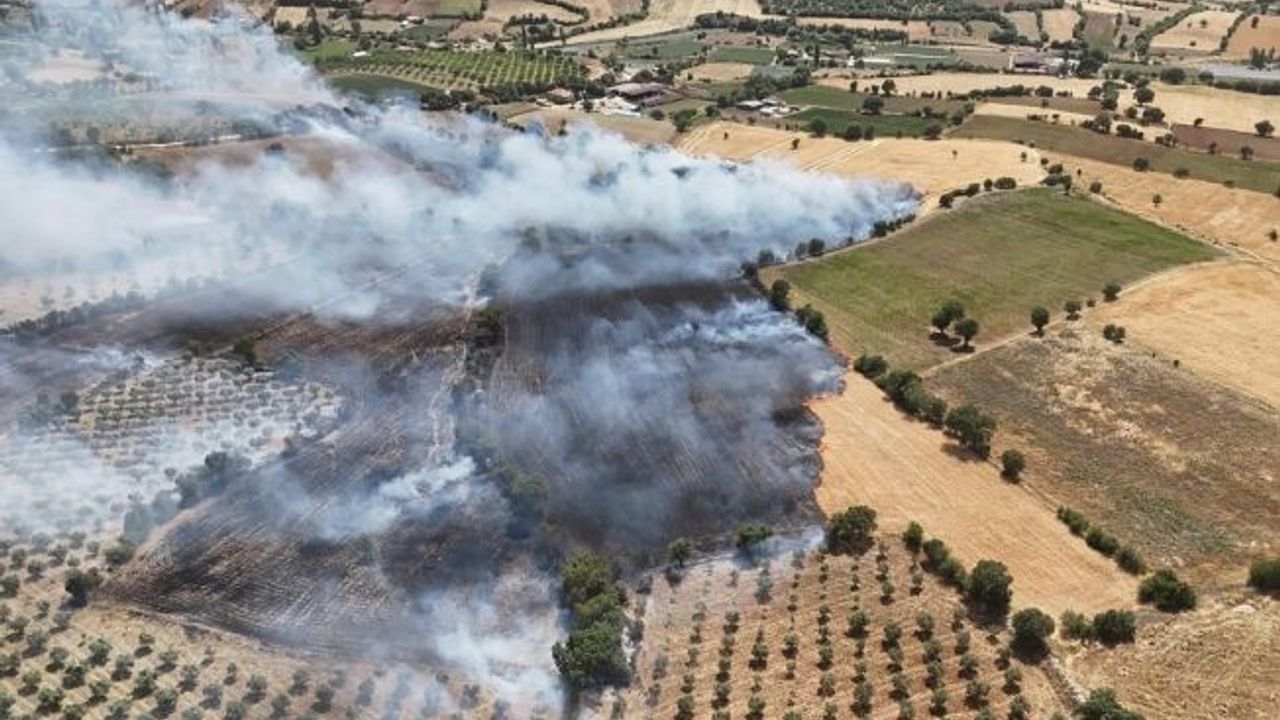 Manisa’da ekin tarlasında yangın: 35 dönüm kül oldu
