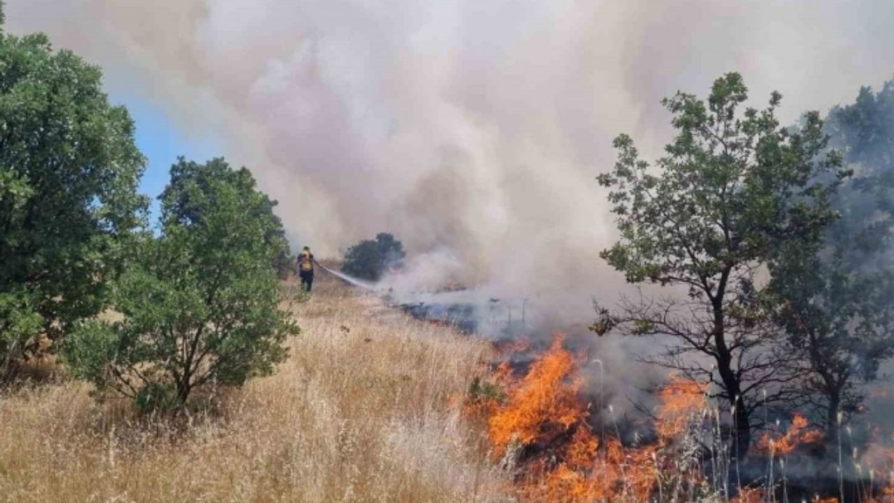 Ormanlık alanı tehdit eden yangına anında müdahale