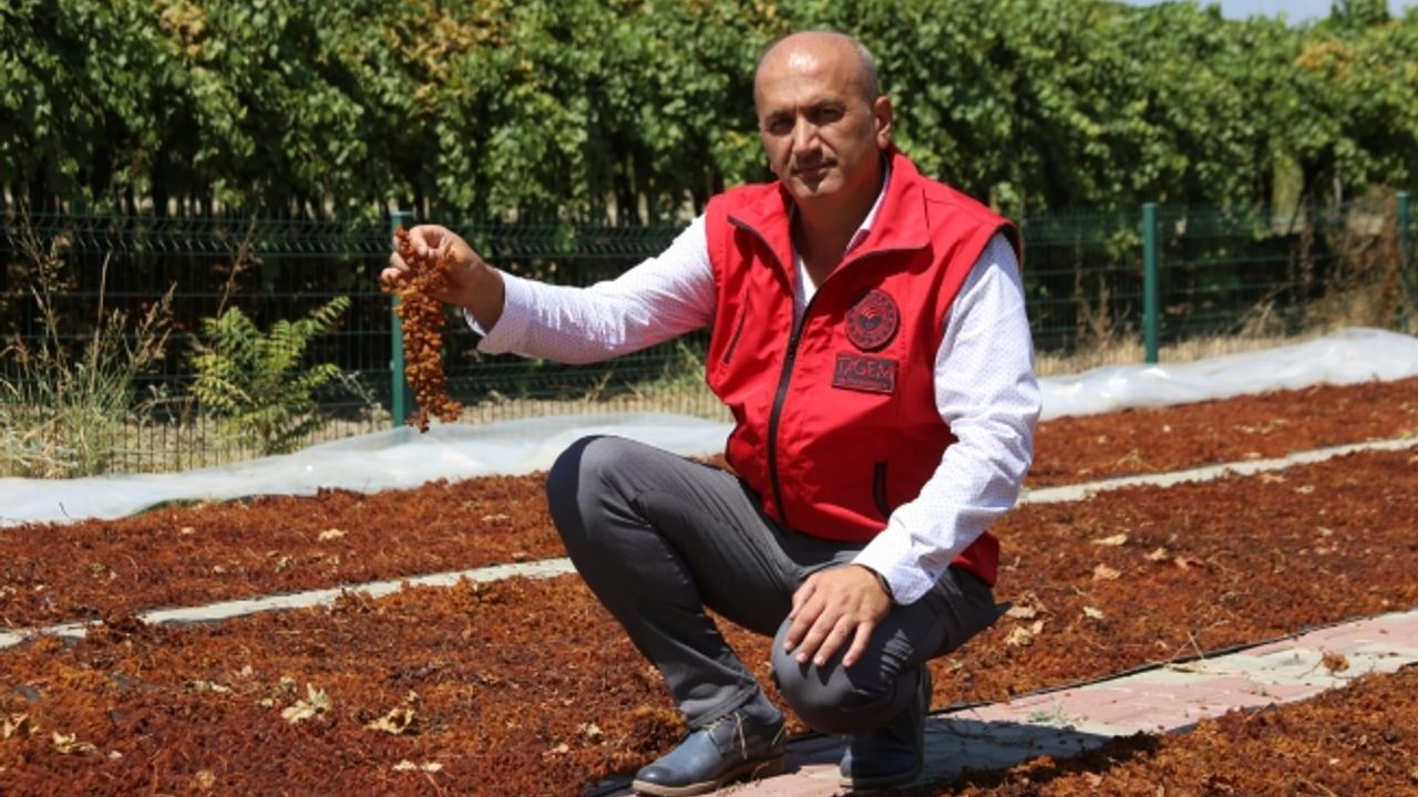 Kurutmayı bandırmalı yapmak zorundayız (Özel Haber)