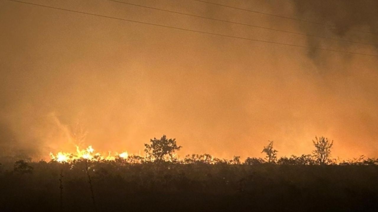 Manisa’da makilik yangını: 35 dönüm alan zarar gördü