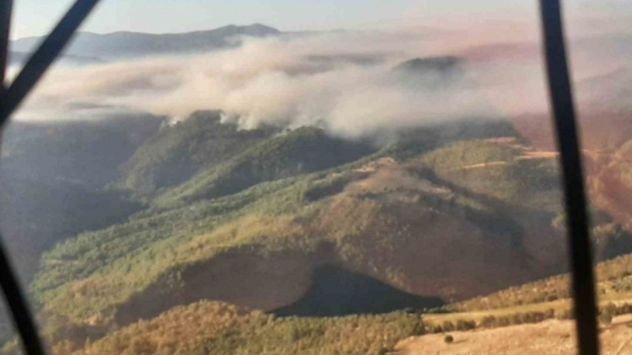 Manisa’daki orman yangınıyla mücadele devam ediyor