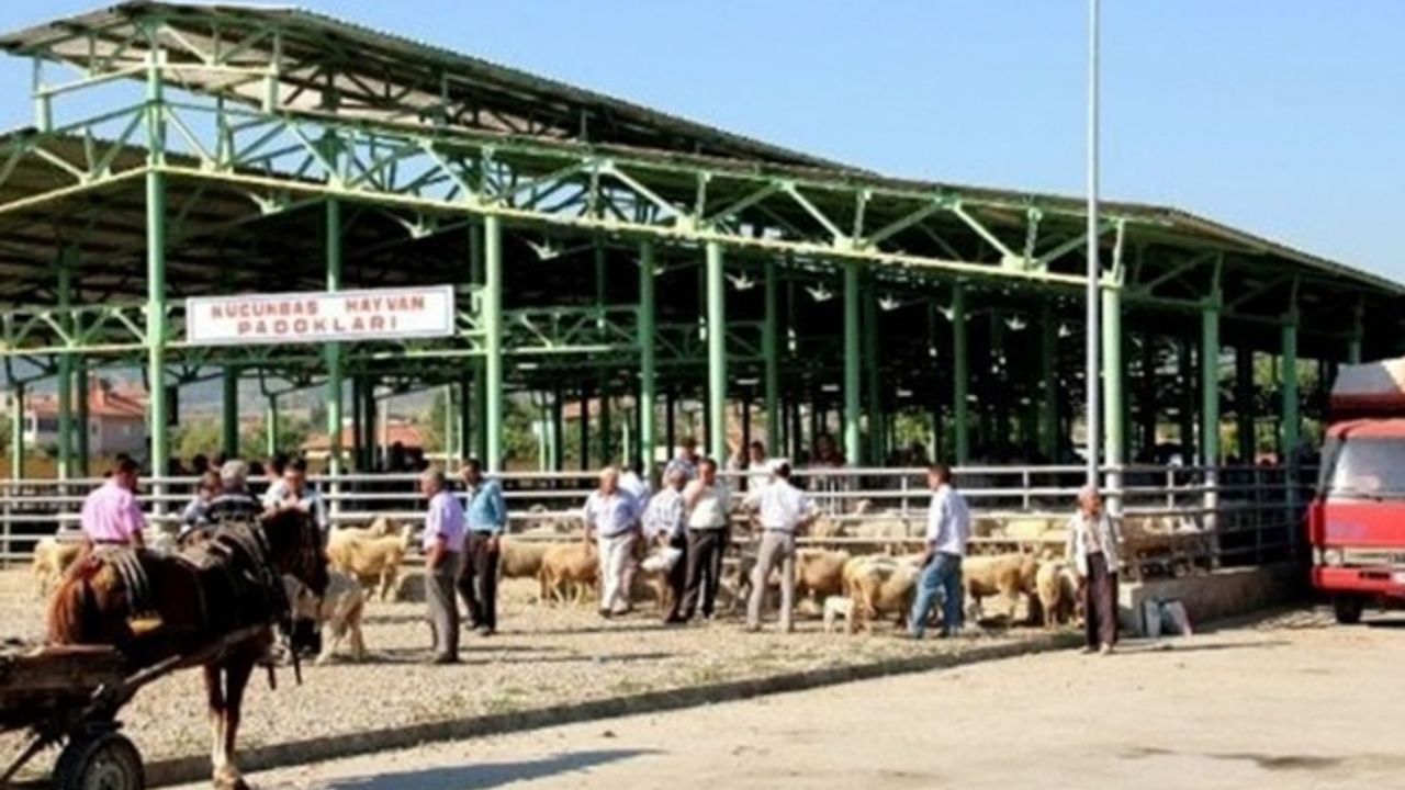 Sarıgöl Canlı Hayvan Pazarı ikinci bir emre kadar kapatıldı