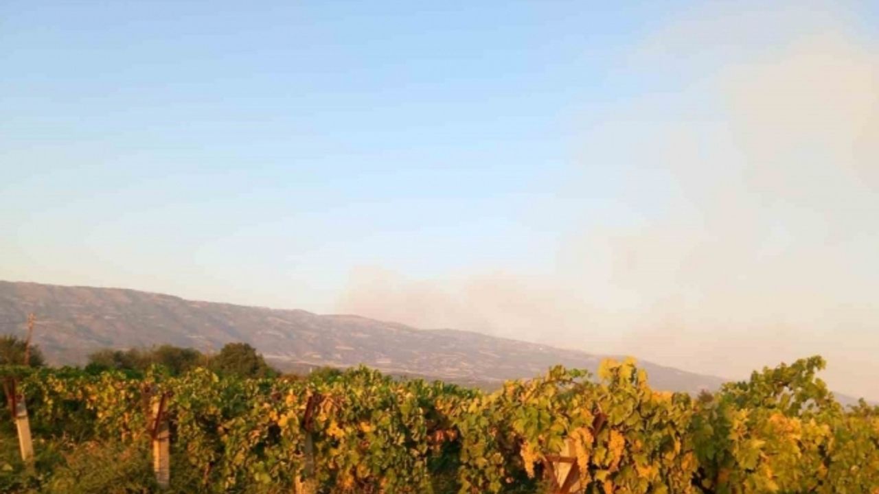 Uşak’taki orman yangını nedeniyle Manisa’da 1 köy boşaltıldı