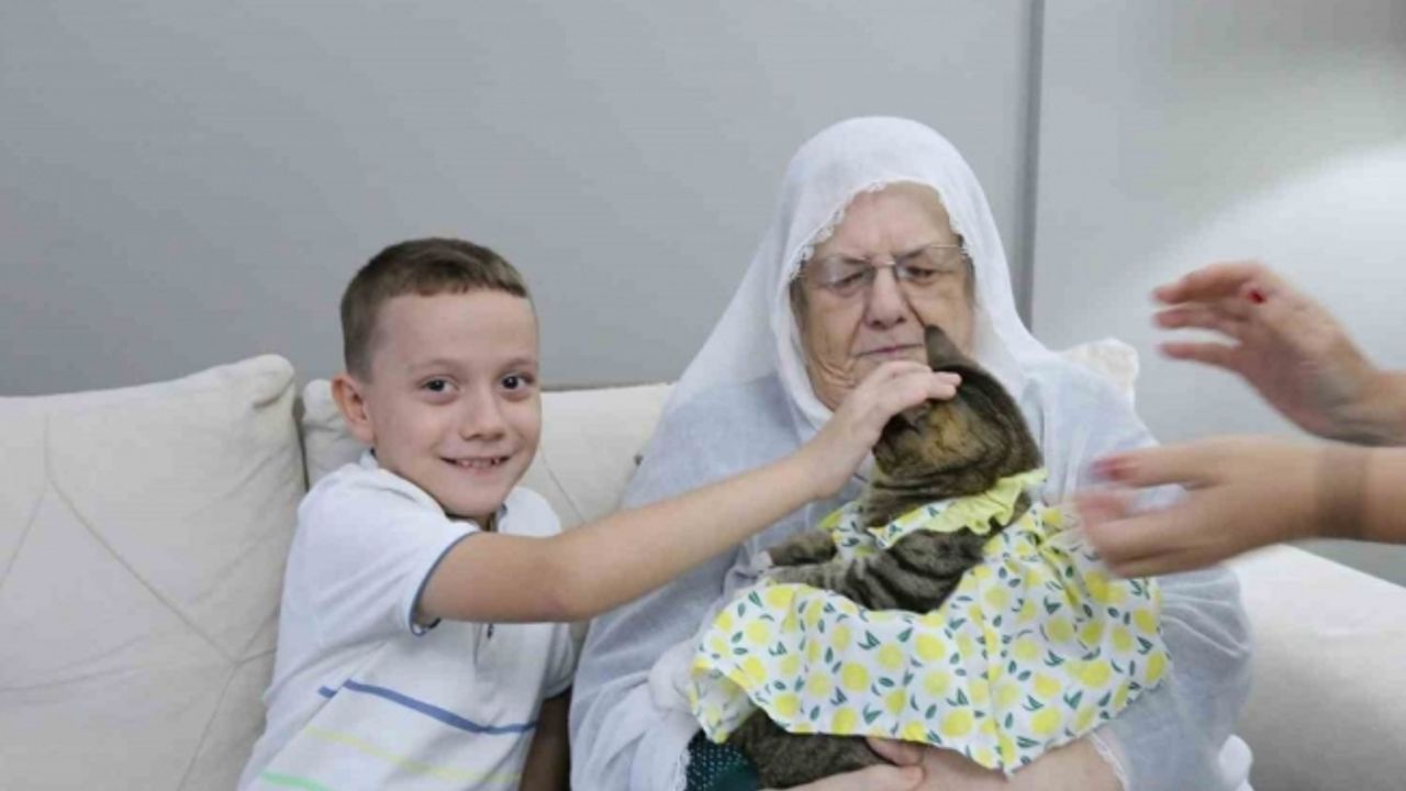 Bebek gibi giydirdiği kedisiyle 82 yaşında fenomen oldu