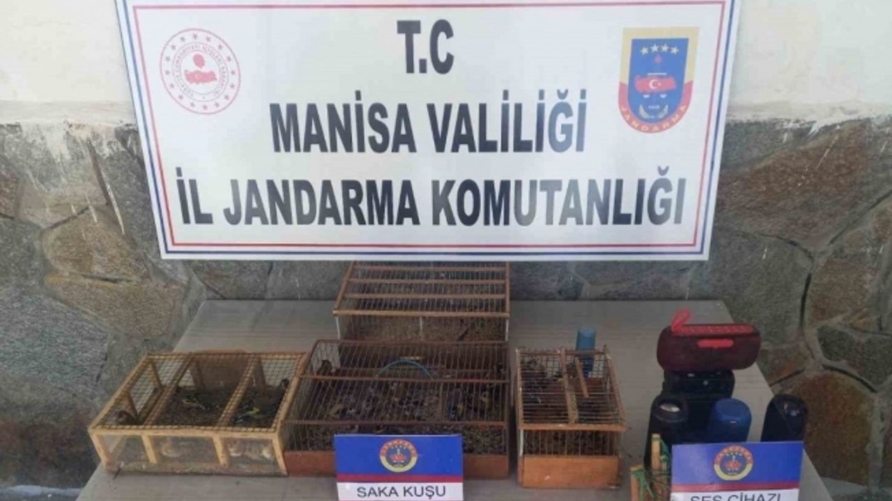 Manisa’da saka avlayan 4 şahıs suçüstü yakalandı: 229 bin TL ceza