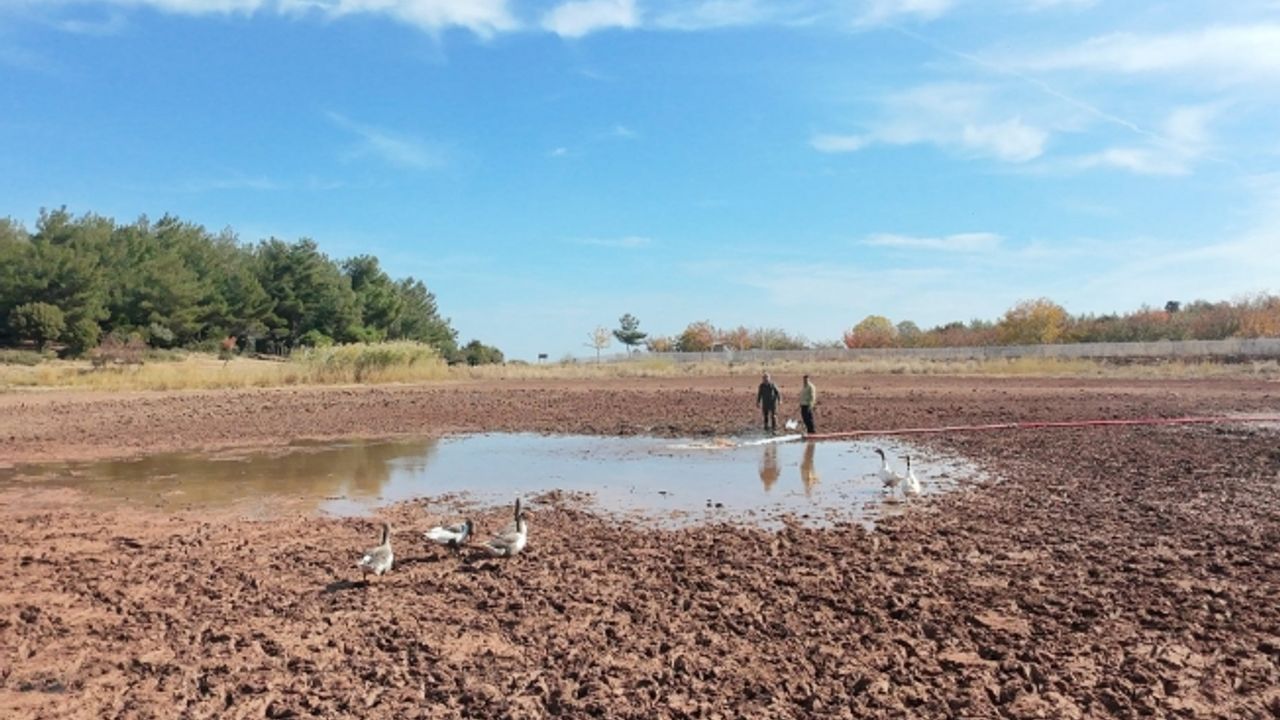 Sülüklügöl kurudu, balıklar öldü, ekipler seferber oldu