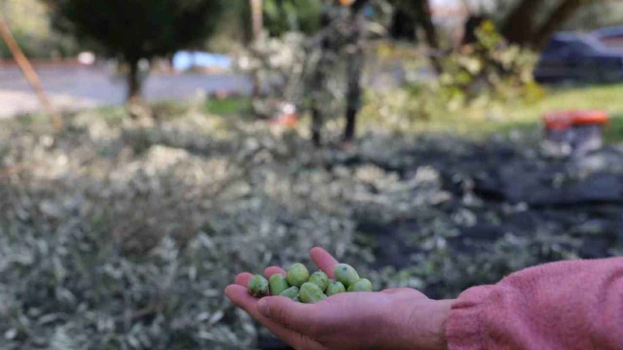 Turgutlu Belediyesi örnek uygulamasına devam ediyor