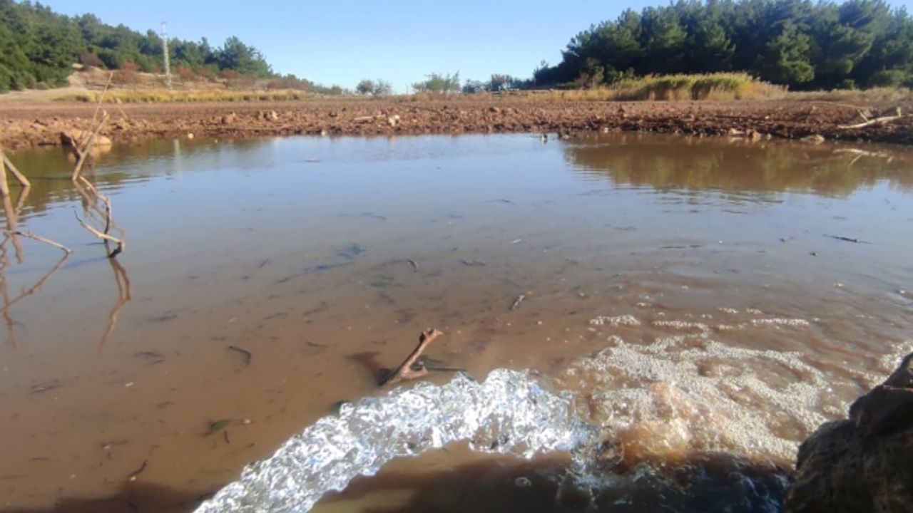 Sülüklü Göl kurtuluyor (Özel Haber)
