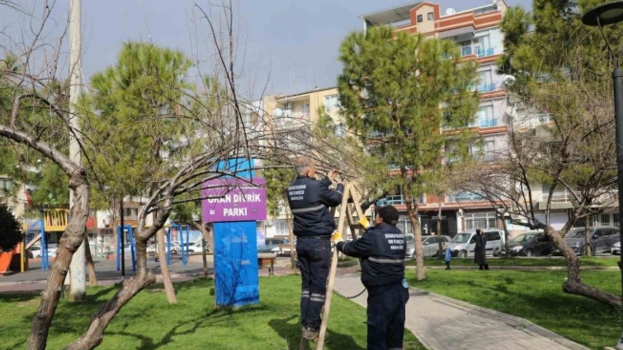 Şehzadeler’de park ve bahçelerde bakım çalışmaları sürüyor