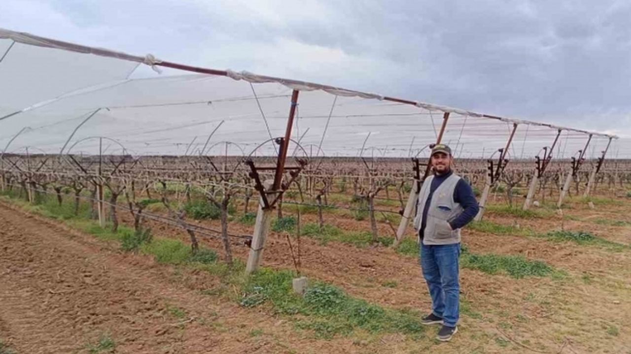 Manisalı çiftçiler don ve dolu riskine karşı tedbir almaya başladı