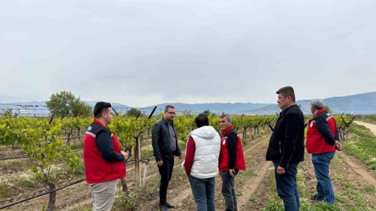 Kaymakam Dalak don zararı gören bağlarda incelemelerde bulundu