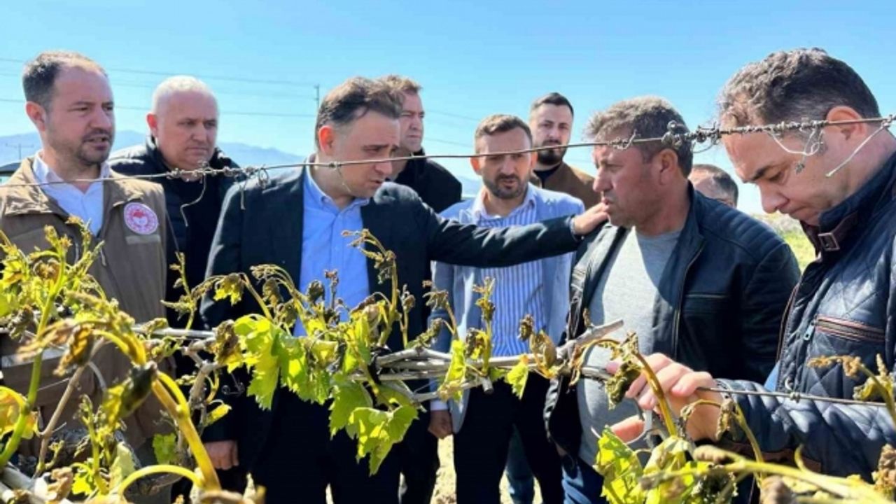 TBMM zirai dondan etkilenen üreticiler için adım attı